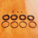 CALIPER SEAL KIT