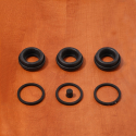 CALIPER SEAL KIT