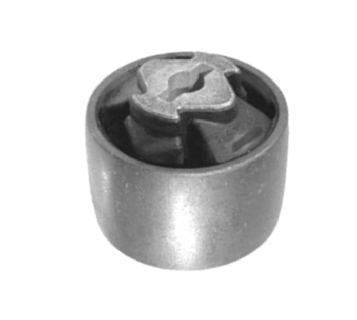 Suspension Arm Bushing