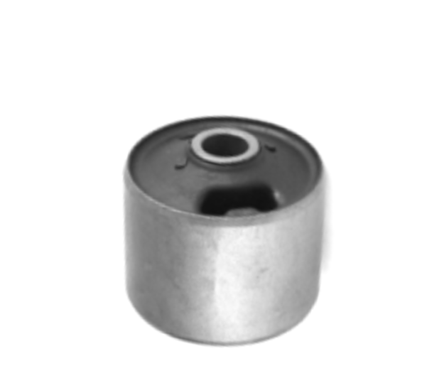 Differential Bracket Bushing